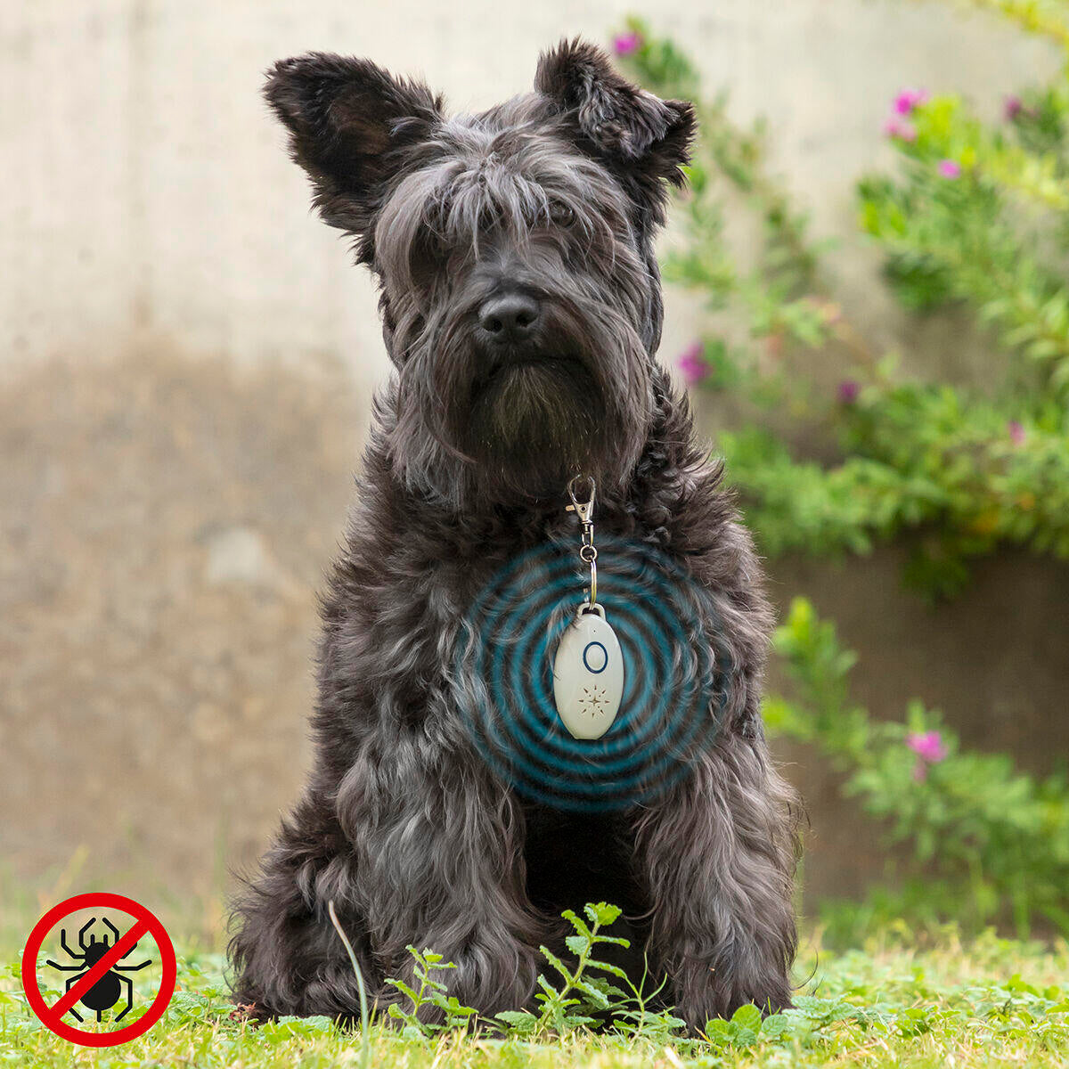 Antiparásitos por Ultrasonidos Recargable para Mascotas