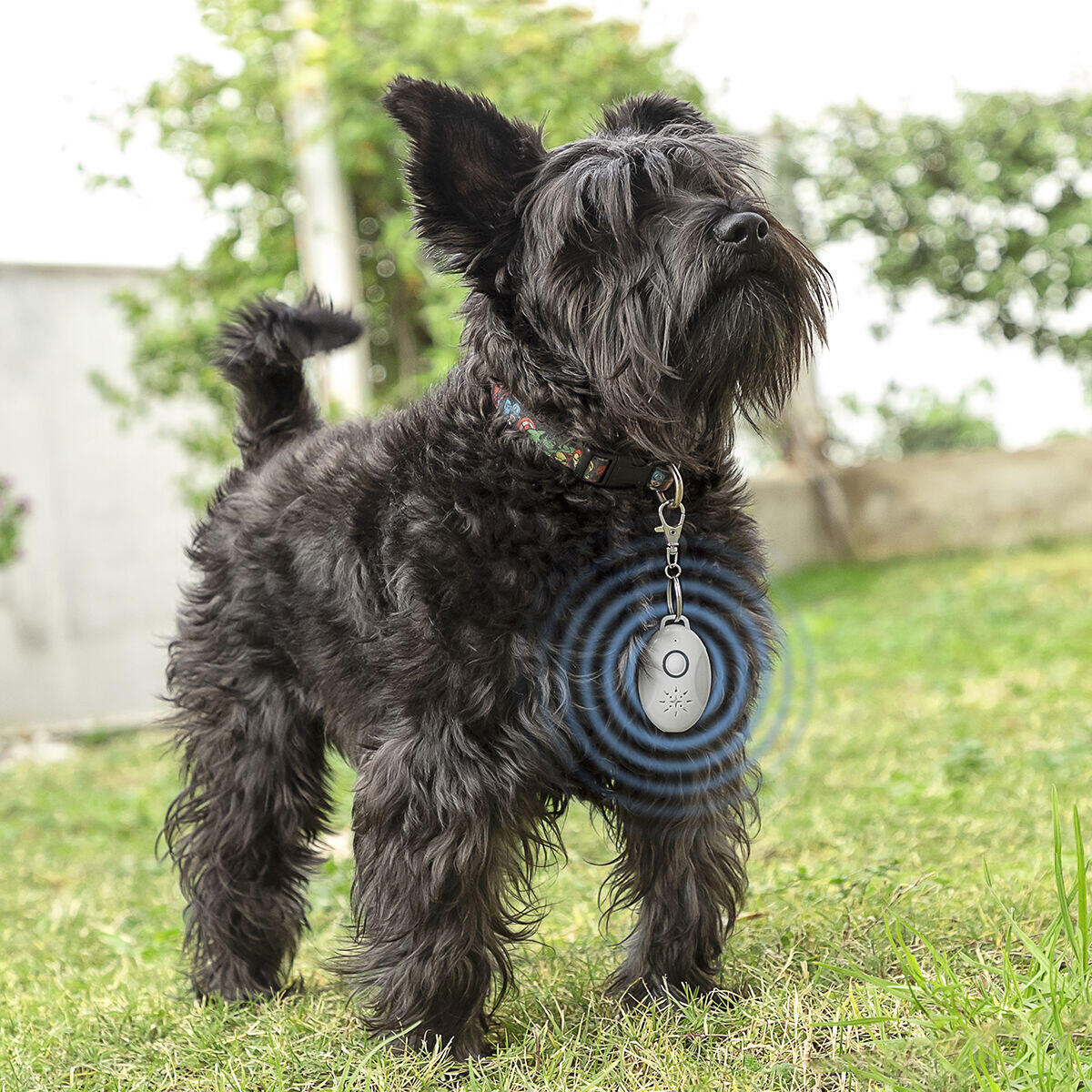 Antiparásitos por Ultrasonidos Recargable para Mascotas